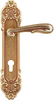 Luxury Antique Brass Door Lever Handle on Decorative Backplate