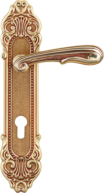 Luxury Antique Brass Door Lever Handle on Decorative Backplate
